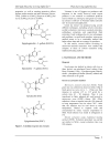 Trích ly POLYPHENOL từ trà xanh sử dụng phương pháp trích có hỗ trợ vi sóng