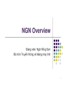 Green Networks NGN Overview