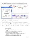 MetaStock Dành cho NewB