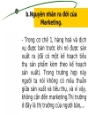 SMEs Tổng quan về Marketing