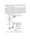 Cn enzyme protein p3 1