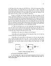 Cn enzyme protein p3 1