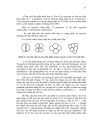 Cn enzyme protein p2 2