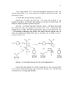 Cn enzyme protein p2