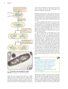 Genetics A conceptual approach 3rd edition