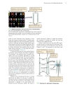 Genetics A conceptual approach 3rd edition