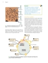 Genetics A conceptual approach 3rd edition