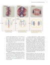 Genetics A conceptual approach 3rd edition