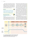 Genetics A conceptual approach 3rd edition