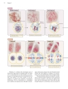 Genetics A conceptual approach 3rd edition