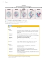 Genetics A conceptual approach 3rd edition