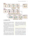 Genetics A conceptual approach 3rd edition