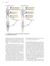 Genetics A conceptual approach 3rd edition