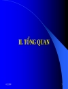 Nghiên cứu cải tiến hệ thống cây trồng cạn tại một số vùng đồng bào dân tộc tỉnh Đồng Nai