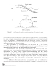 Lý thuyết gia cố nền và mái đất nâng cao Reinforced soil Engineering Hoe Columbia University