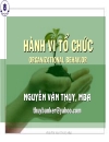 Tài liệu Hành Vi Tổ Chức Nguyễn Văn Thụy