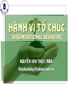 Tài liệu Hành Vi Tổ Chức Nguyễn Văn Thụy