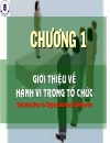 Tài liệu Hành Vi Tổ Chức Nguyễn Văn Thụy