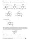 Bài tập Hóa Hữu Cơ 1