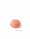 Ebook I Love Macarons