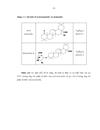 Nghiên cứu chiết tách Acid Momordic và Momordin trong hạt gấc thu nhận tại Đà Nẵng