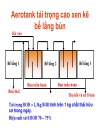 Bể aerotank gồm 87 trang