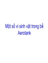 Bể aerotank gồm 87 trang