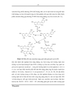 Nghiên cứu trích ly polyphenol từ trà