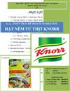 Phân tích kế hoạch marketing hạt nêm từ thịt knorr