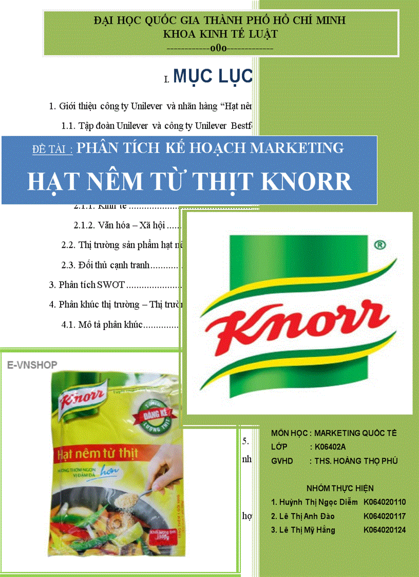 Phân tích kế hoạch marketing hạt nêm từ thịt knorr