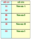 Nhóm máu và nguyên tắc truyền máu