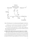 Potassium In The Soil