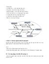 Tìm hiểu về biểu đồ xương cá fishbone diagram môn quản trị chất lượng