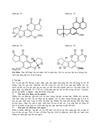 Độc tố aflatoxin