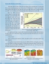 Kịch bản biến đổi khí hậu nước biển dâng cho Việt Nam năm 2011 báo cáo của bộ TNMT