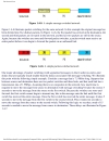 Computer Networking A Top Down Approach Featuring the Internet