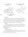 Độc tố nấm mốc Mycotoxins