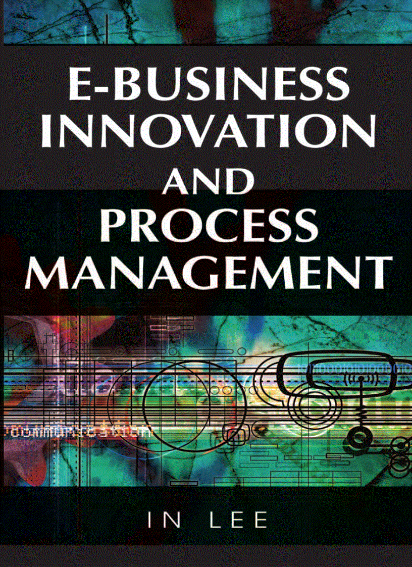 E Business Innovation and Process Management