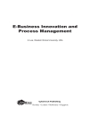 E Business Innovation and Process Management