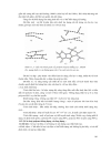 Cấu tạo và tính chất của vật liệu phần 10