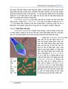 Vi khuẩn Clostridium botulinum và độc tố botulin của vi khuẩn này