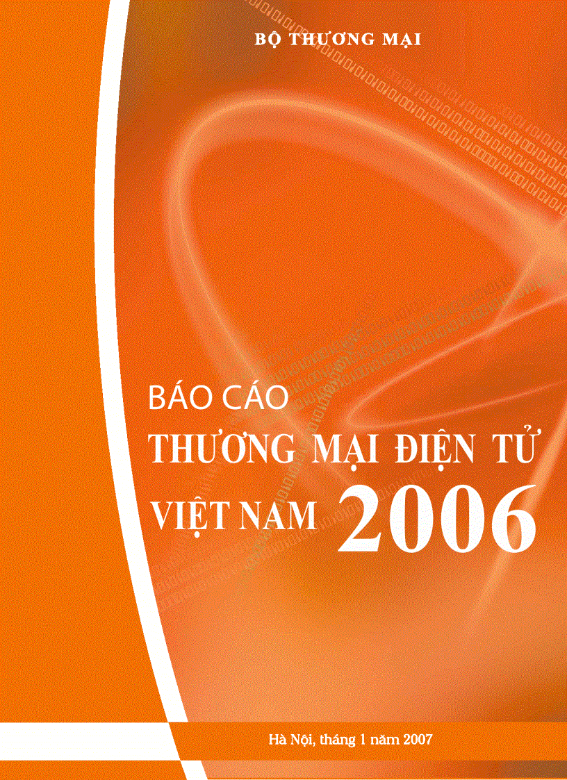 Báo cáo TMDT Việt Nam 2006