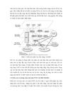 MẠNG THÔNG TIN DI ĐỘNG THEO CẤU TRÚC NGN NGN Mobile