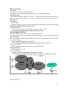 Wireless Local Area Network