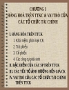 Hàng hóa trên thị trường chứng khoán và vai trò của các tổ chức tài chính