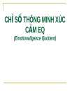 Kỹ năng giao tiếp và thuyết trình