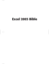 Microsoft Office Excel 2003 Bible