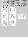 Ebook Tự học Karate