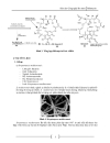 Công nghệ lên men Rifamycin