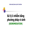 Công nghệ sinh học môi trường